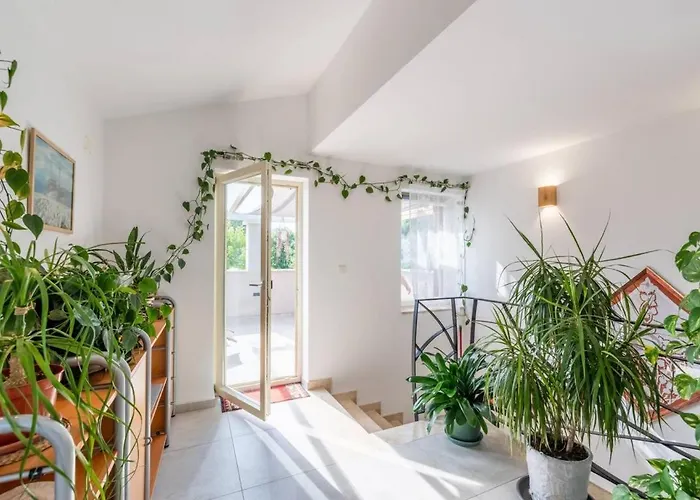 Apartment Picaferaj Porec